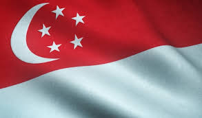 Singapore High Court Grants Blocking Order Targeting 22 Video Piracy Brands, Covering 53 Domains